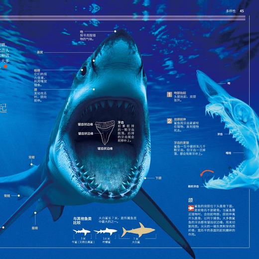 《国家地理图解万物大百科》第一辑·动植物（全6册） 商品图8
