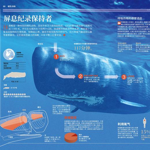《国家地理图解万物大百科》第一辑·动植物（全6册） 商品图13