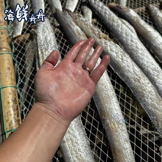 【干货】古法淡晒 野生油带鱼鲞 商品图2