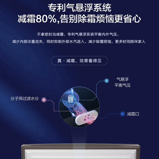 海尔（Haier）冰柜 BC/BD-203HMC 商品图9