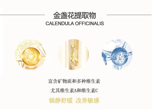 兰薇欧秘密花园金盏花精华露 商品图2