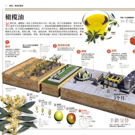 《国家地理图解万物大百科》第一辑·动植物（全6册） 商品图10
