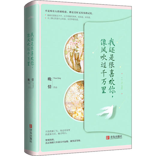 我还是很喜欢你,像风吹过千万里 商品图0