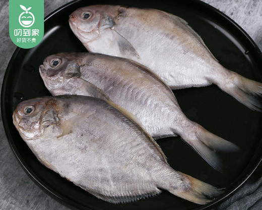 本港冰鲜肉鲳鱼（杀好）/1份（4-6条，共400-450g） 商品图1
