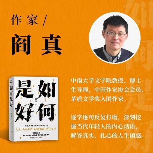 如何是好    闫真 商品图2