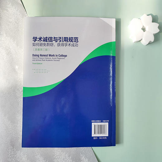 学术诚信与引用规范——如何避免剽窃，获得学术成功（原著第三版) 商品图12