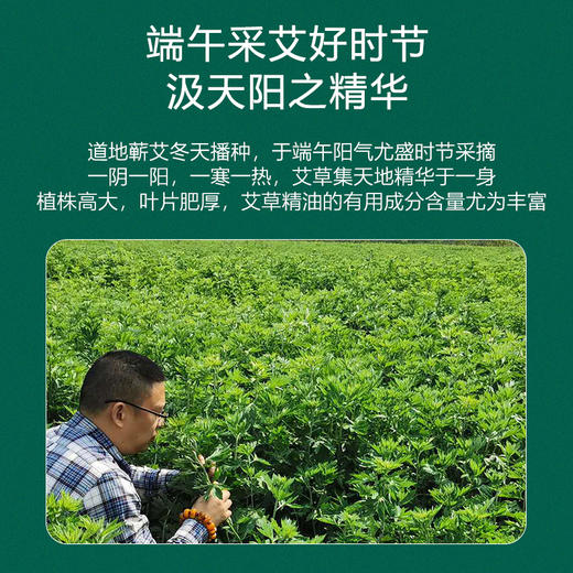 [2025]艾灸仪专用方形艾绒片中药敷贴款 30片一盒 商品图5