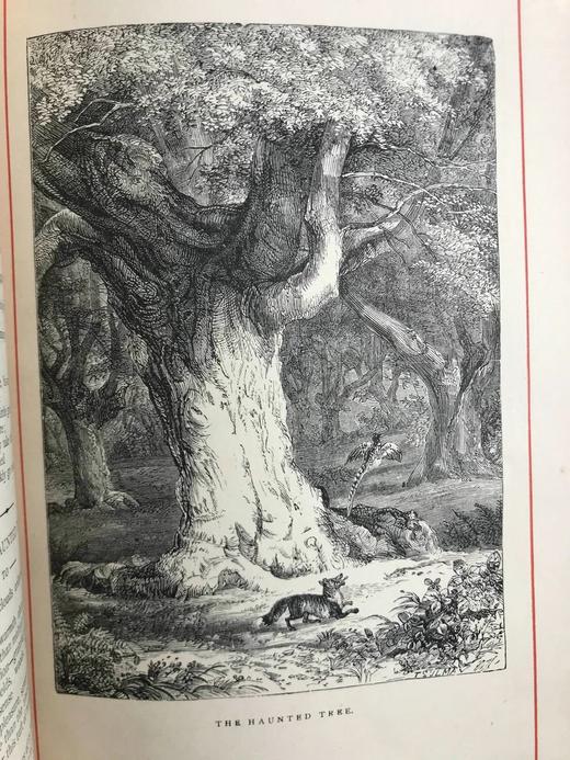 约19世纪后期 华兹华斯诗集 约10幅版画插图 漆布精装32开 商品图10