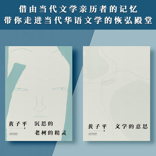 黄子平经典代表作（全两册）：沉思的老树的精灵+文学的意思 商品图2