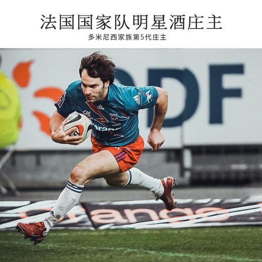 【连续7年G&G金奖】菲特瓦庄园珍藏干红葡萄酒 法国原瓶进口 商品图4