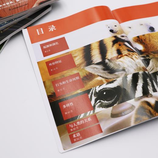 《国家地理图解万物大百科》第一辑·动植物（全6册） 商品图3