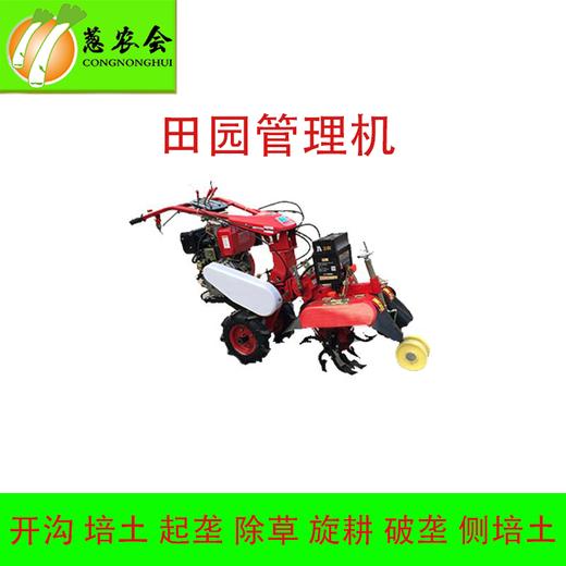 小型田园管理机/培土/开沟/起垄 商品图2