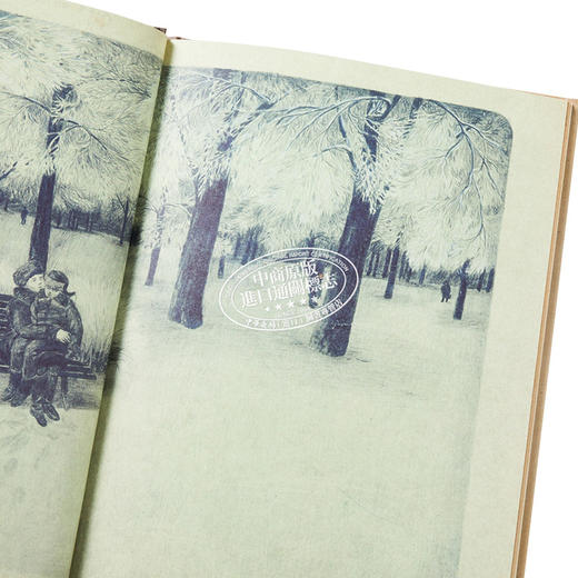 【中商原版】遗失的灵魂 奥尔加托卡尔丘克 英文原版 The Lost Soul Olga Tokarczuk 商品图3