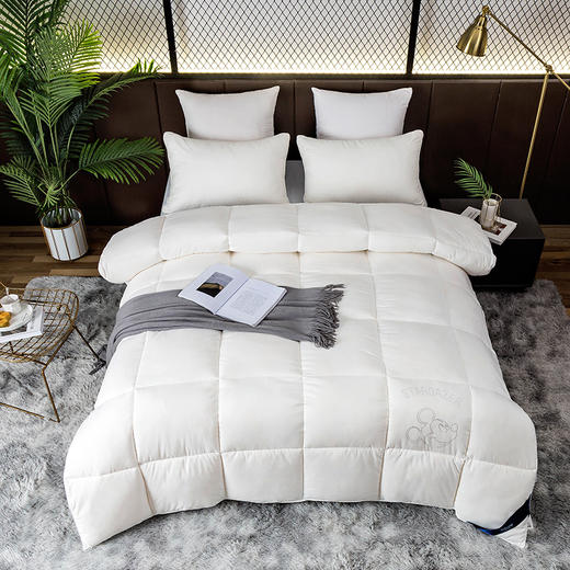 迪士尼·被子 DDM10-2023C/200x230cm【CZ】 商品图1