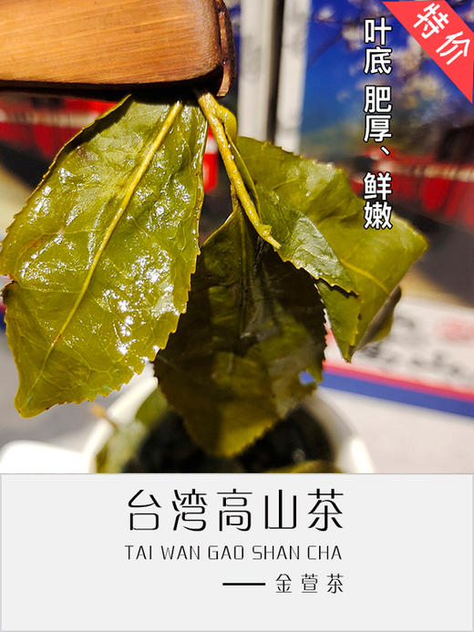 金萱茶 商品图3