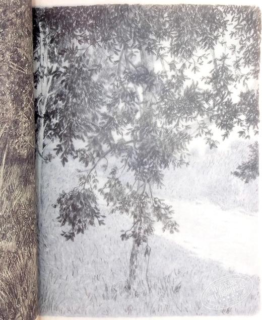 【中商原版】遗失的灵魂 奥尔加托卡尔丘克 英文原版 The Lost Soul Olga Tokarczuk 商品图7