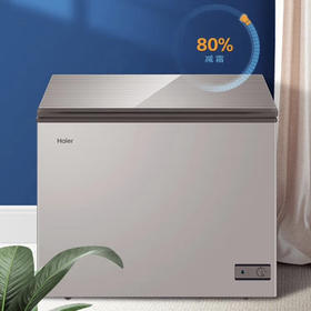 海尔（Haier）冰柜 BC/BD-203HMC