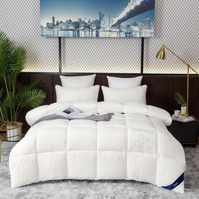 迪士尼·被子 DDM10-2023C/200x230cm【CZ】