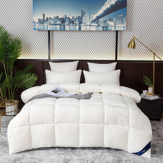 迪士尼·被子 DDM10-2023C/200x230cm【CZ】 商品图0