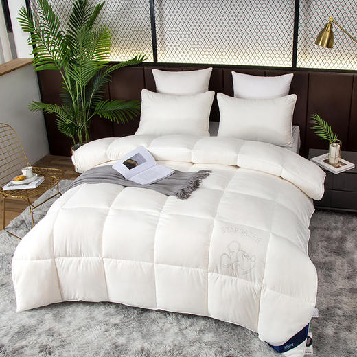 迪士尼·被子 DDM10-2023C/200x230cm【CZ】 商品图2