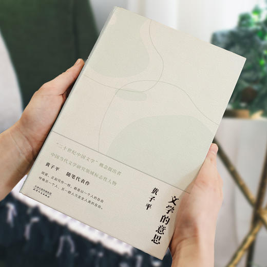 黄子平经典代表作：文学的意思 商品图1