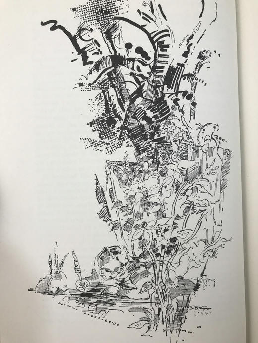 吉卜林二十一则故事集（1987） 14幅插图 精装大32开带书匣 商品图14