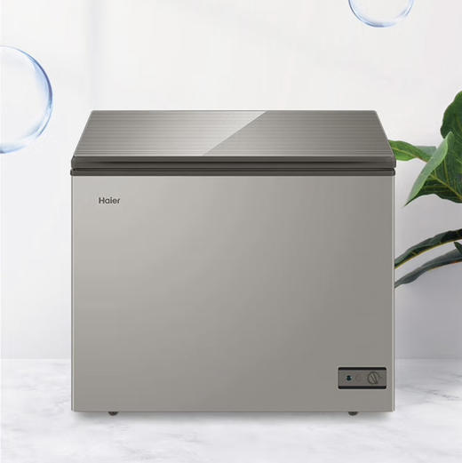 海尔（Haier）冰柜 BC/BD-203HMC 商品图14