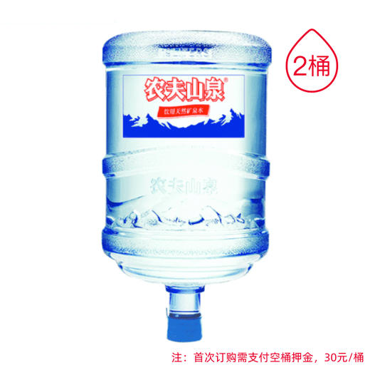 农夫山泉天然水19L*2桶 商品图0