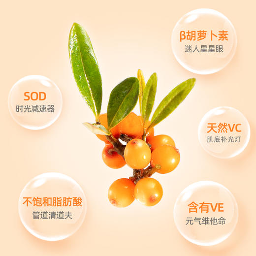 【品牌直发】默小吉沙棘原浆1.8L（60袋）量贩装】鲜果鲜榨 口感浓郁 鲜VC  不加水 撕开即饮维生素C 商品图2