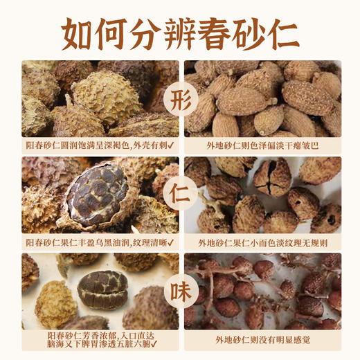 【团购上新】同有三和精选·阳春砂仁 | 道地甄选 药食同源 | 芳香浓郁 | 自然生长，手工采摘 | 做法简单，可干吃、泡水、泡茶、炖汤、煮粥 | 100g/罐 商品图3