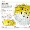 《国家地理图解万物大百科》第一辑·动植物（全6册） 商品缩略图7