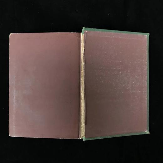 约19世纪后期 华兹华斯诗集 约10幅版画插图 漆布精装32开 商品图3