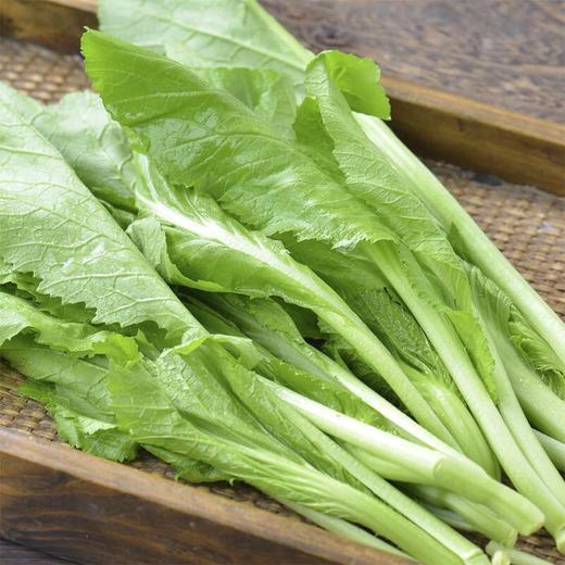 芥菜 约300g/份 商品图3
