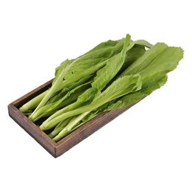 芥菜 约300g/份