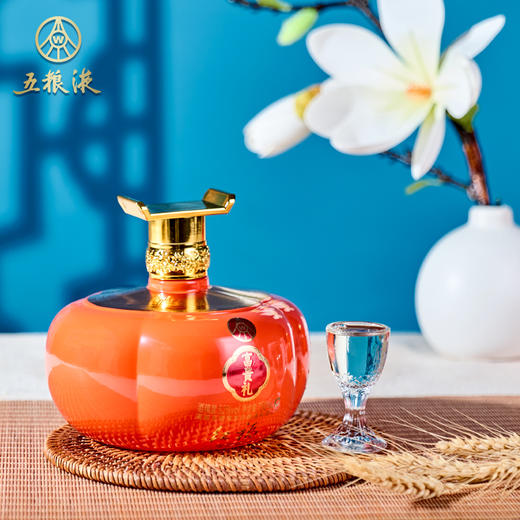 五粮液红福富贵礼双坛礼盒装750ML*2 商品图2