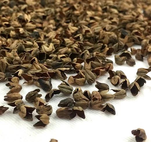 荞麦皮 商品图0