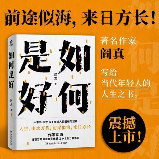 如何是好    闫真 商品图0