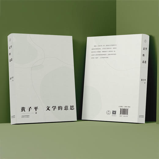 黄子平经典代表作：文学的意思 商品图4