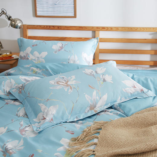 恒源祥HYX033TJ玉兰花开印花四件套 200*230cm【CZ】 商品图3