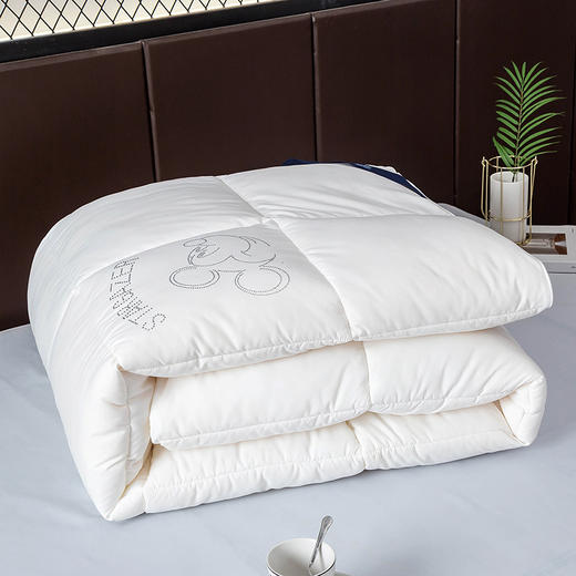 迪士尼·被子 DDM10-2023C/200x230cm【CZ】 商品图4