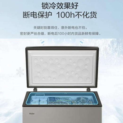 海尔（Haier）冰柜 BC/BD-203HMC 商品图3