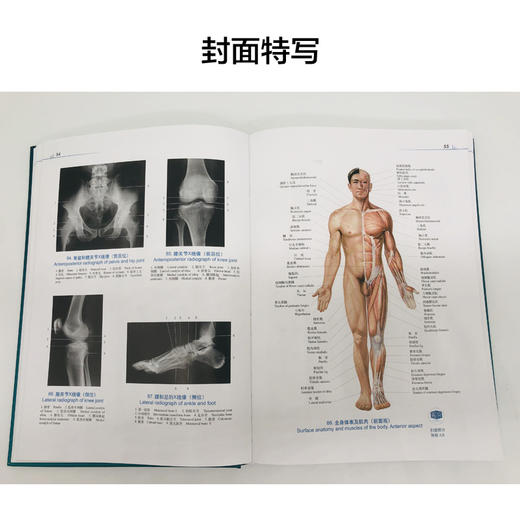 人体解剖彩色图谱(第3版) 商品图1