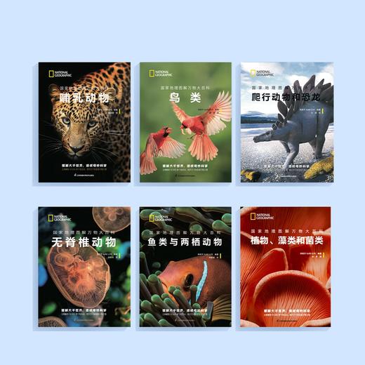 《国家地理图解万物大百科》第一辑·动植物（全6册） 商品图1