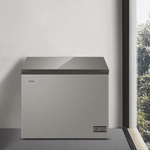 海尔（Haier）冰柜 BC/BD-203HMC 商品图11