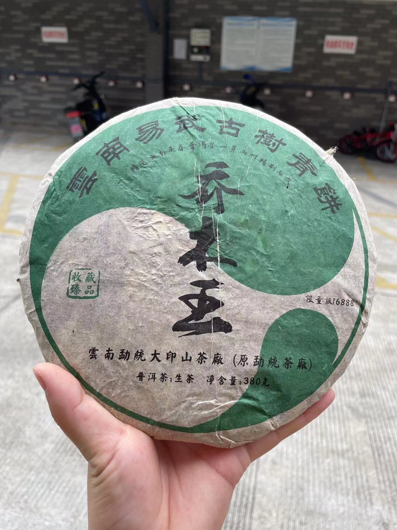 53      2006年乔木王，茶人匠心，好茶一饼难求