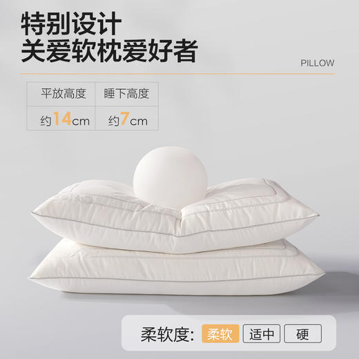 【品牌直发】加倍生活  丝梦蚕丝纤柔枕48*74cm 商品图1