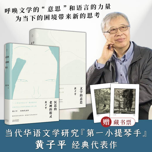 黄子平经典代表作（全两册）：沉思的老树的精灵+文学的意思 商品图0