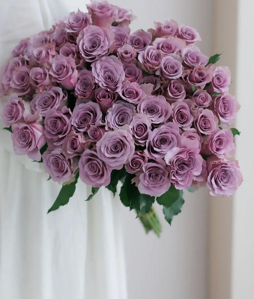 【秒杀福利】南粤推荐-紫霞仙子 20枝/扎 商品图0