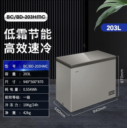 海尔（Haier）冰柜 BC/BD-203HMC 商品图2
