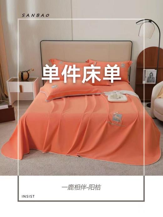 暖德绒床单2.45*2.5 商品图0